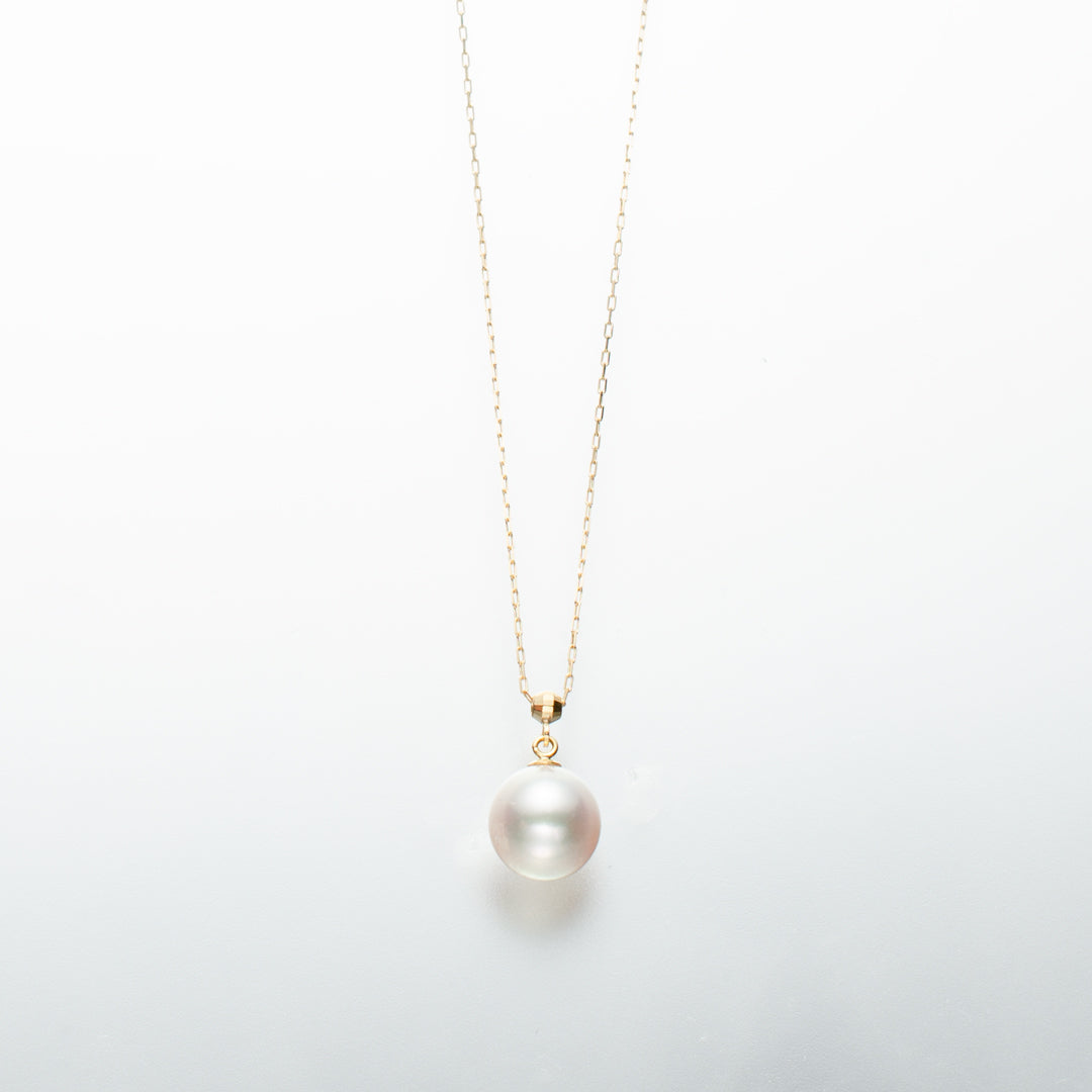 apnt-13.jpg?v=1737702111